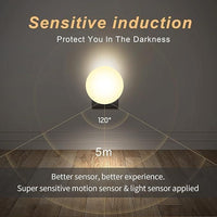 Motion Sensor Light